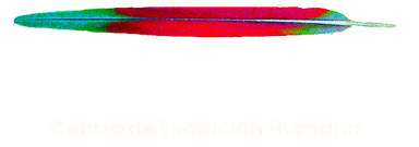 Logo Fundación Imaginar