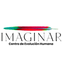 Logo Fundación Imaginar