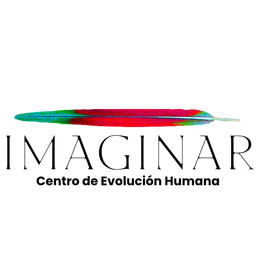 Logo Fundación Imaginar