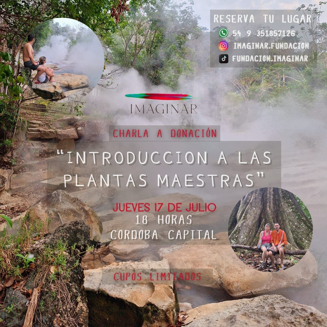 Introducción a las plantas maestras amazónicas